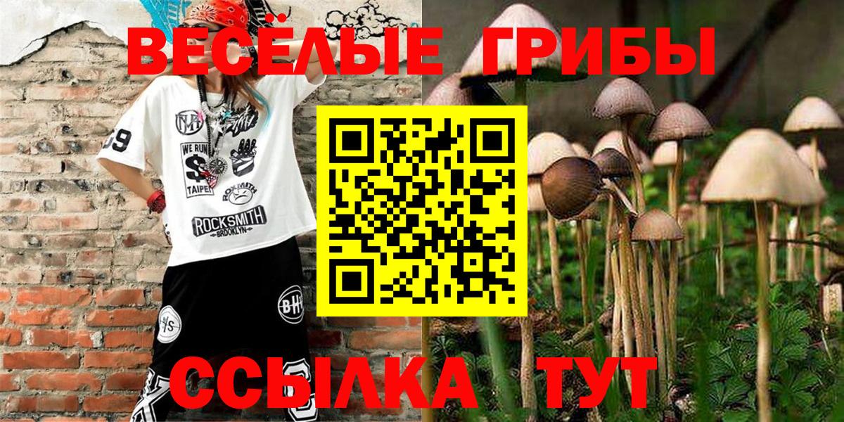 Псилоцибиновые грибы ЛСД  Вход с VPN  Обнинск  Псилоцибиновые грибы мухоморы 